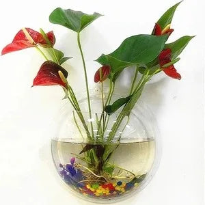 Transparent wall hanging vase/ creative wall hanger 15cm