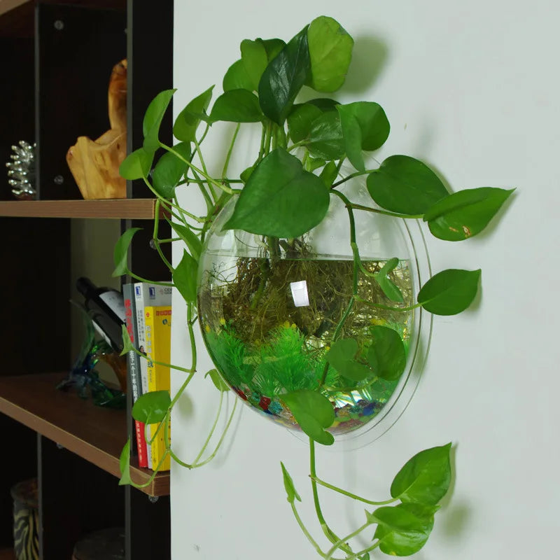 Transparent wall hanging vase/ creative wall hanger 15cm